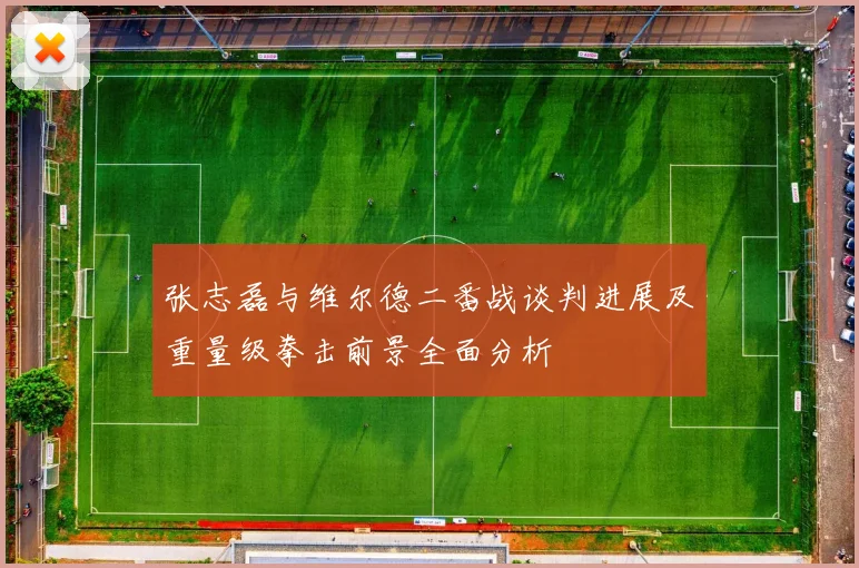 张志磊与维尔德二番战谈判进展及重量级拳击前景全面分析