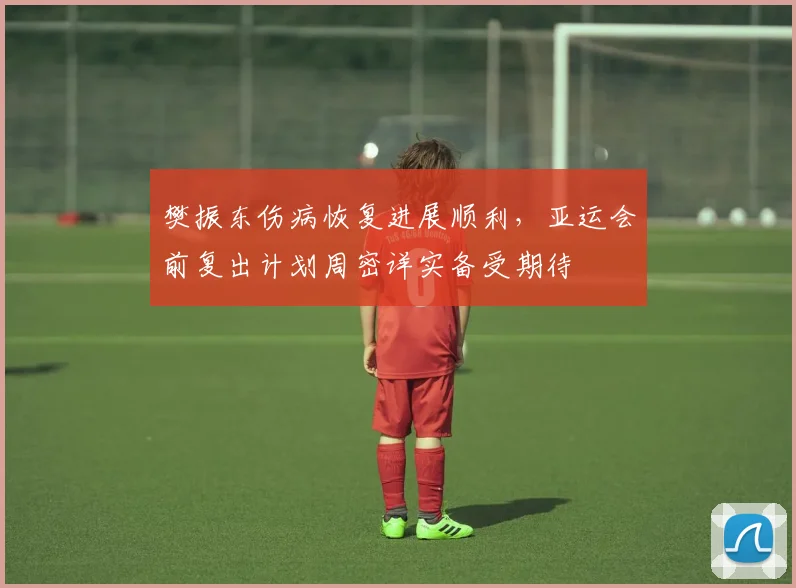 樊振东伤病恢复进展顺利，亚运会前复出计划周密详实备受期待