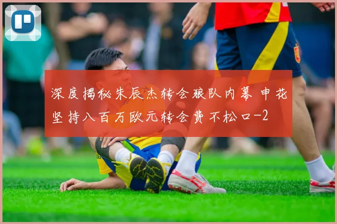 深度揭秘朱辰杰转会狼队内幕 申花坚持八百万欧元转会费不松口
