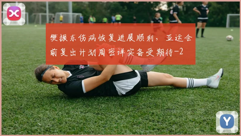 樊振东伤病恢复进展顺利,亚运会前复出计划周密详实备受期待